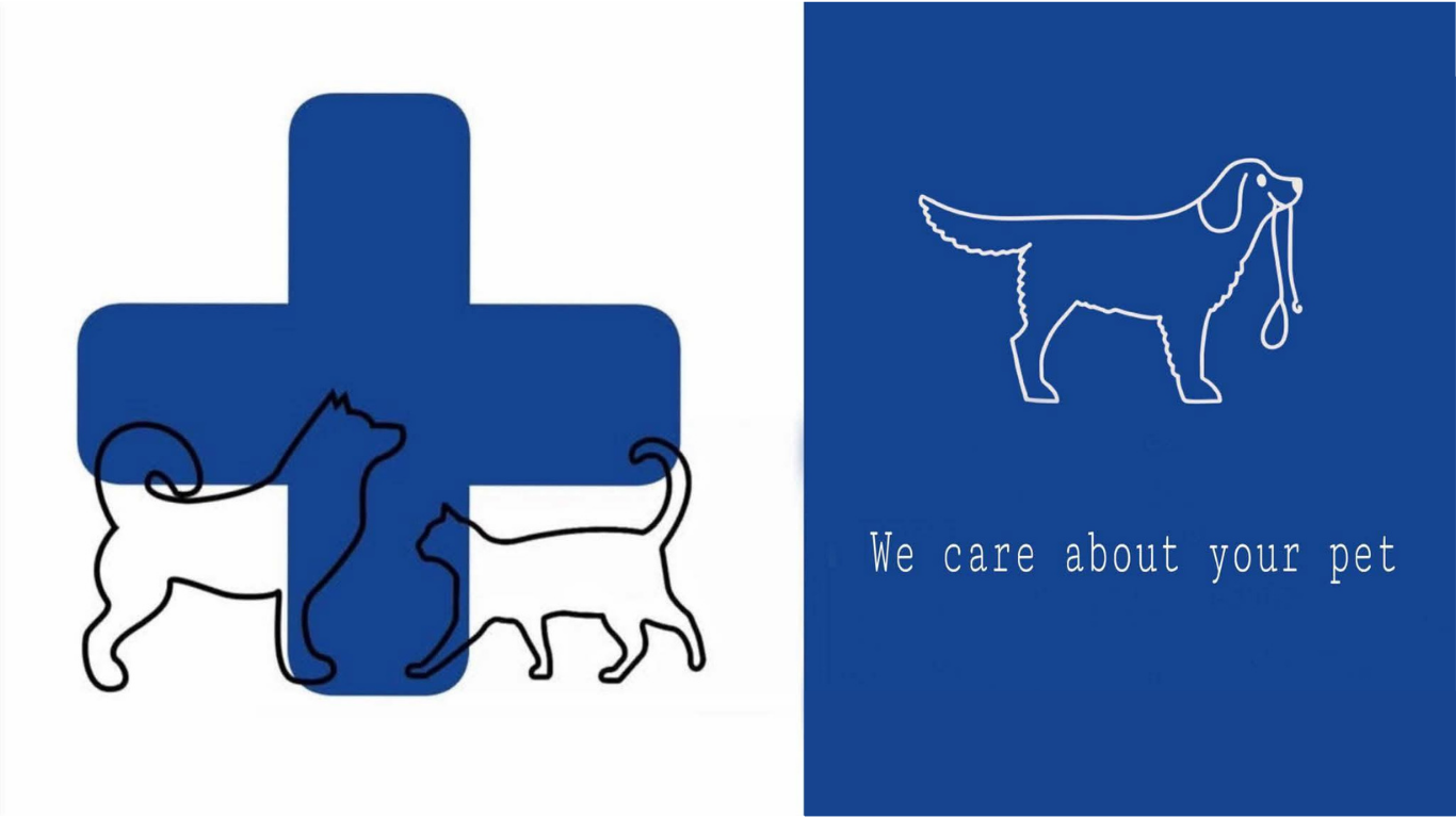 Paata Chkheidze's Vet Clinic